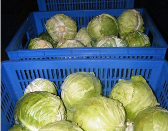 东莞好色先生视频APP下载污配送
